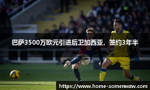 王中王资料大全